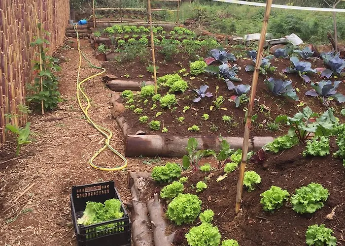 Quinta Dos Artistas Santa Cruz (Madeira)