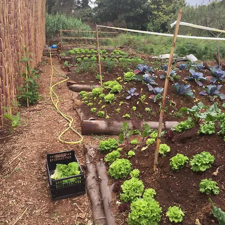 Quinta Dos Artistas Santa Cruz (Madeira)