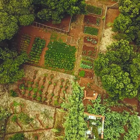 Quinta Dos Artistas Lodge *