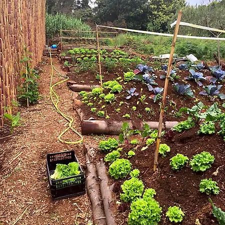 Quinta Dos Artistas Santa Cruz (Madeira)